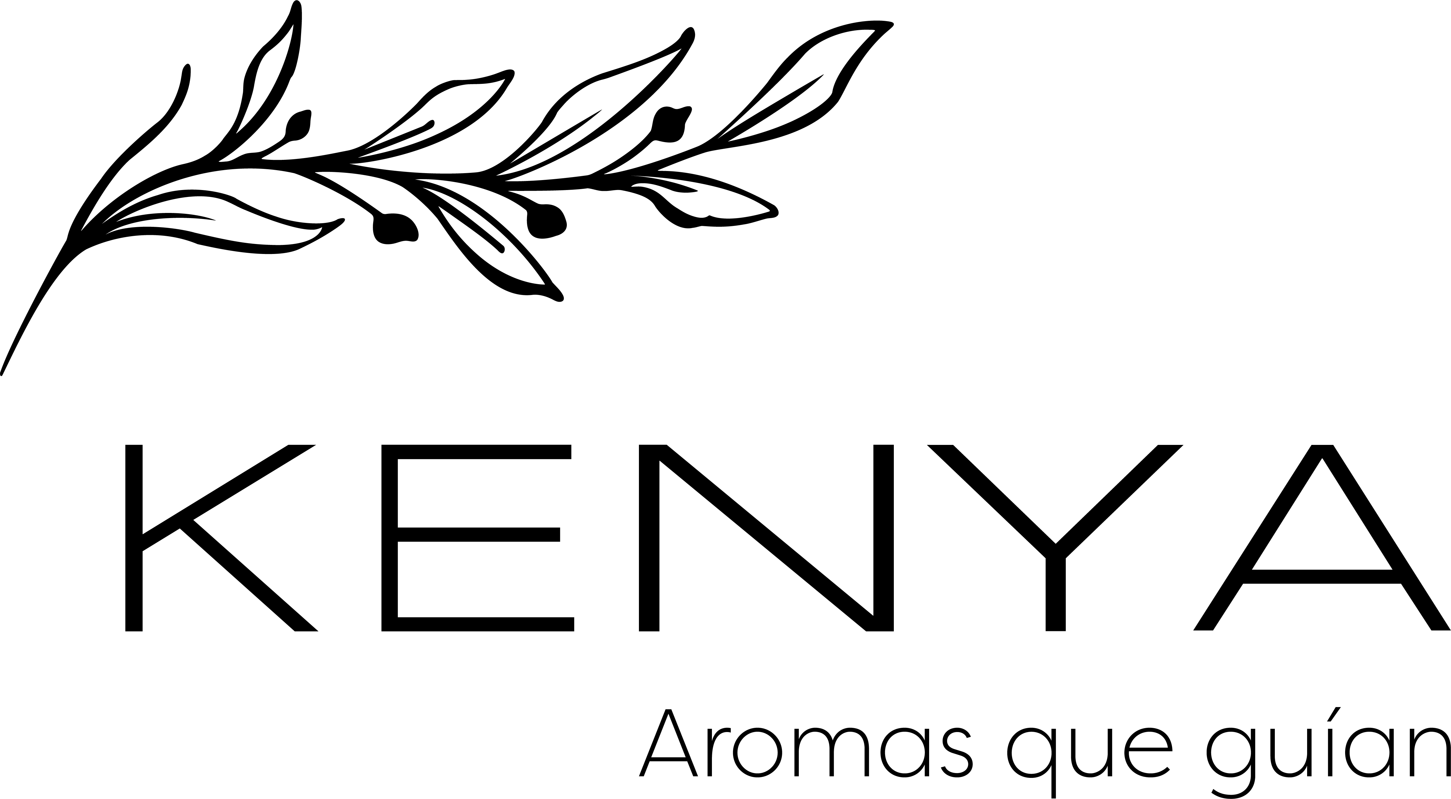Logo principal