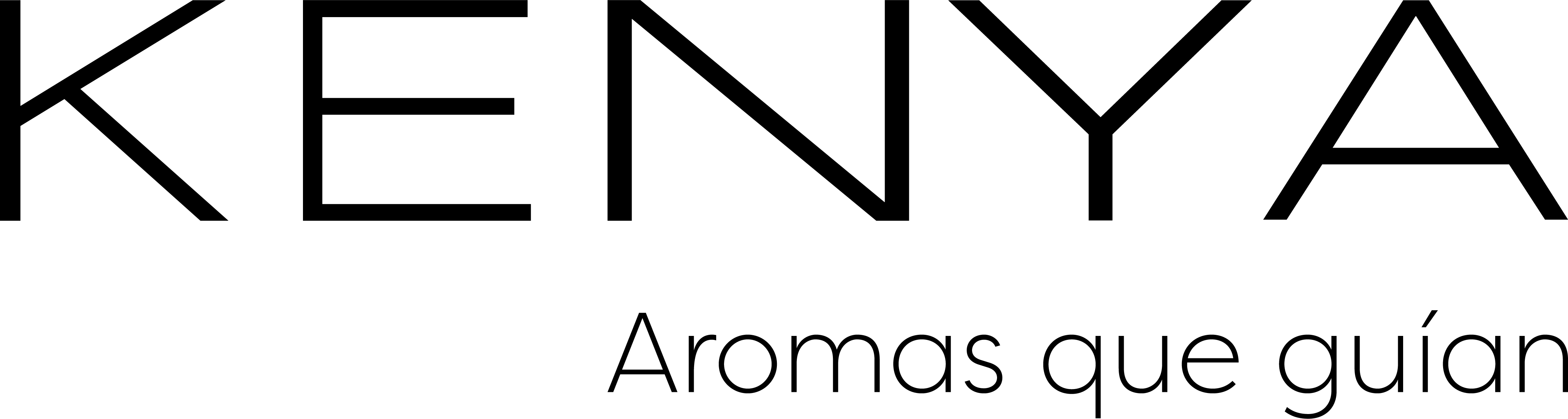 Logo secundario